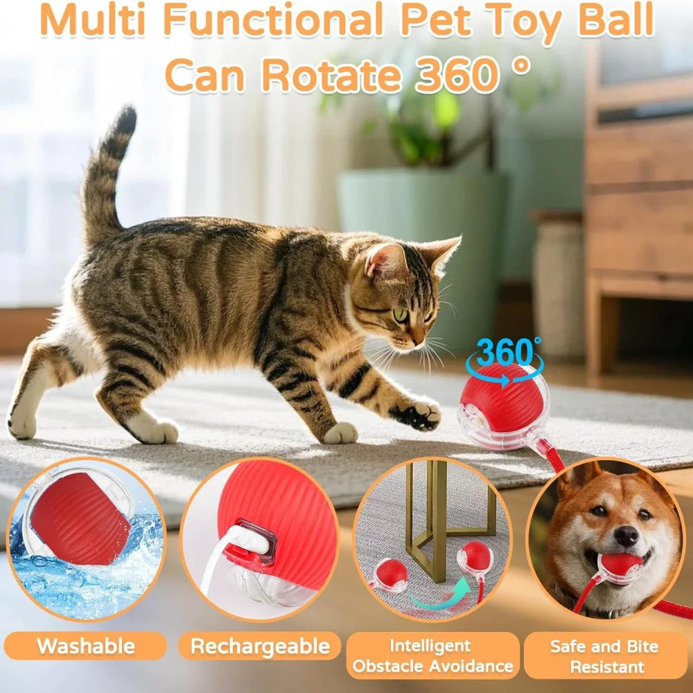 Automatic Rolling Ball Toy