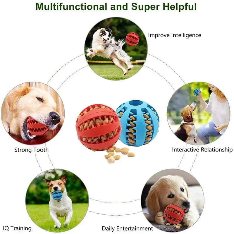 Bite Resistant Toy Ball